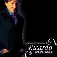 Déjame Llorar - Ricardo Montaner (unofficial Instrumental)