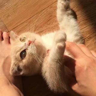 不能错过的中国嘻哈