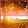 Deep Sleep Music - The Best of Funky Monkey Babys: Relaxing Music Box Covers