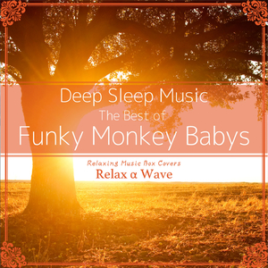 Funky Monkey Babys - Lovin' life