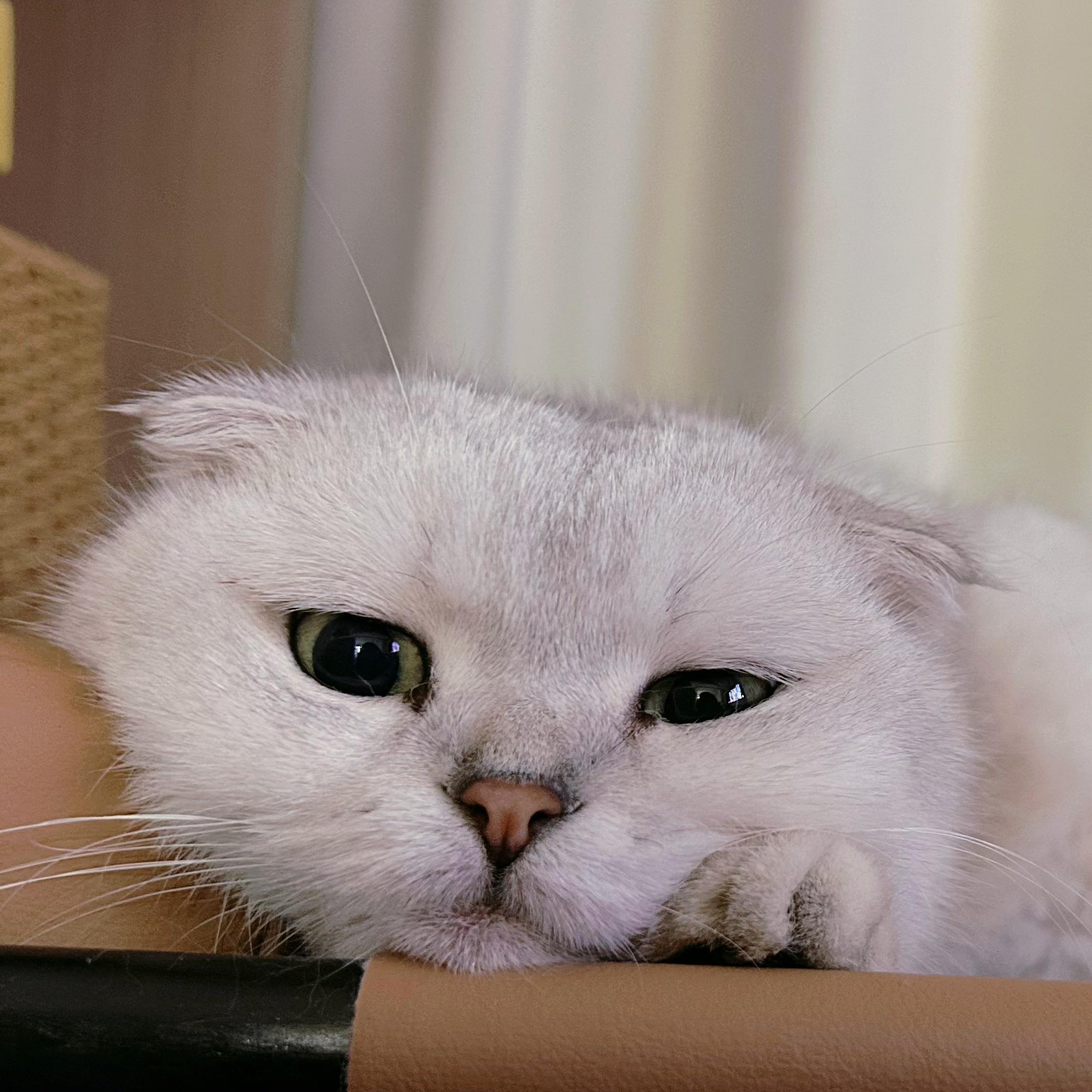 渺小的我