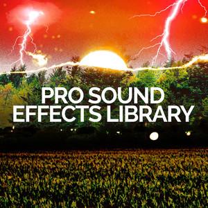 Sound Effects Library