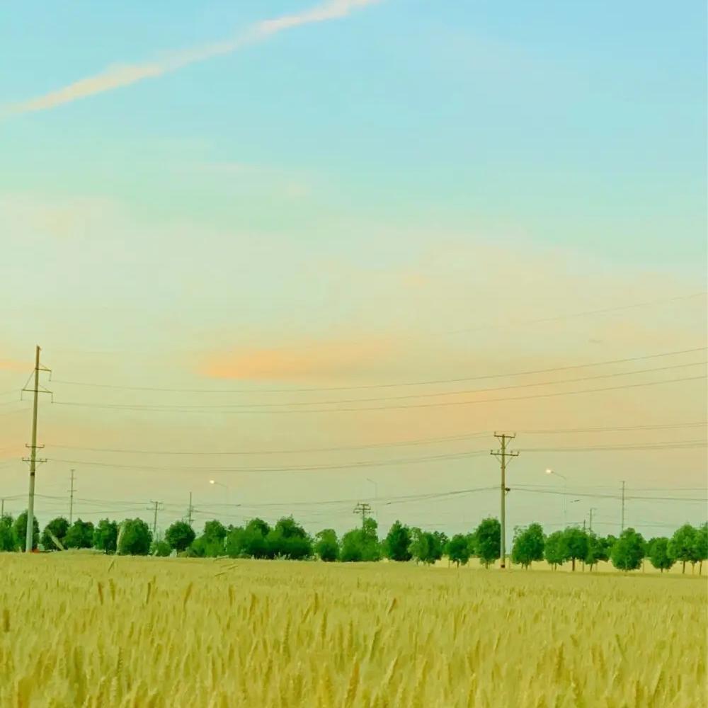 白噪音减压音乐：阅读/写作/图书馆/养生馆/图书馆背景音乐