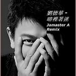 刘德华 -暗里着迷 (Jamaster A Remix)专辑