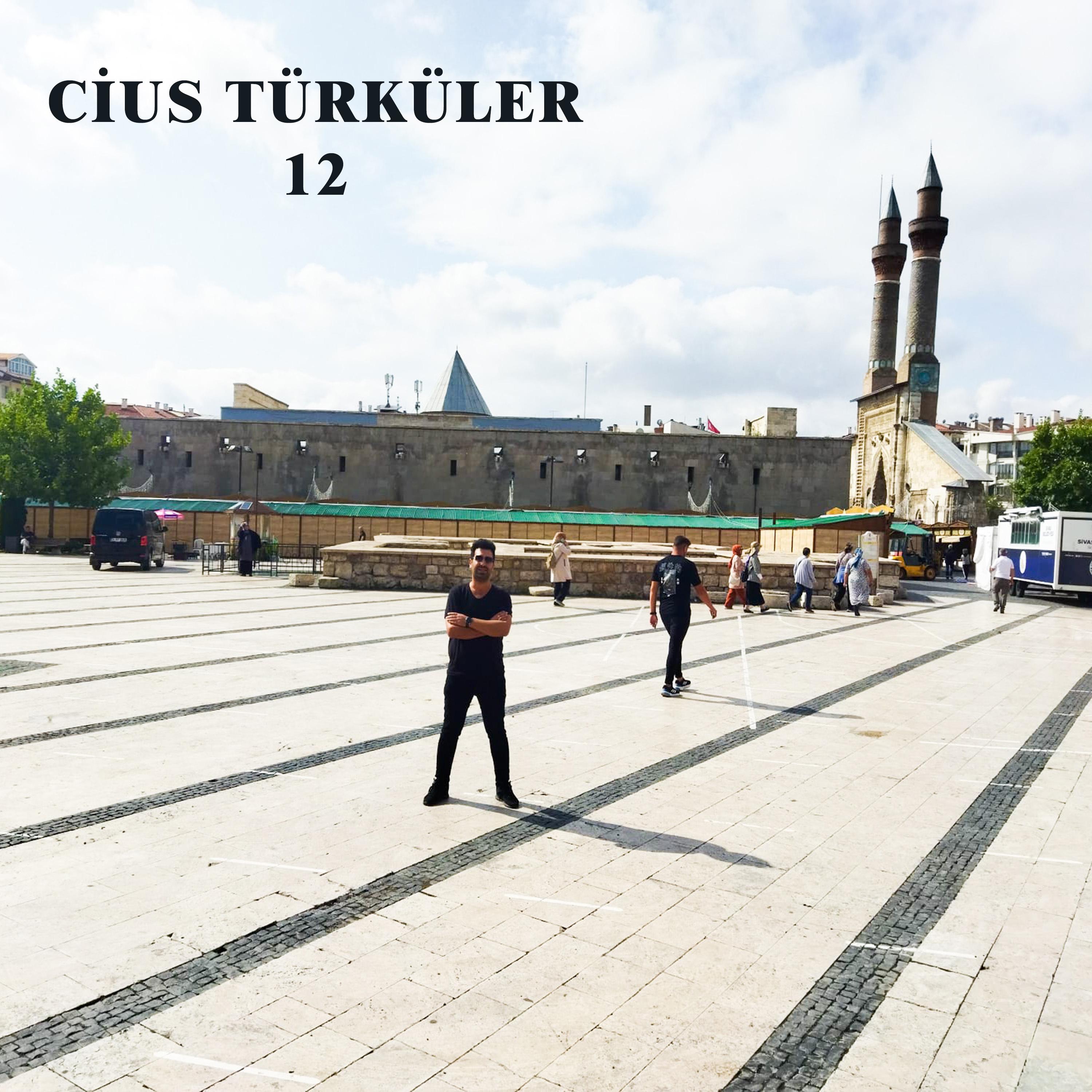 Bülbül Havalanmış Yüksekten Uçar