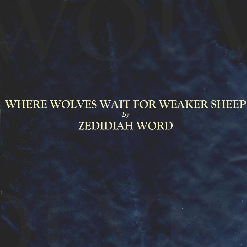 Where Wolves Wait For Weaker Sheep