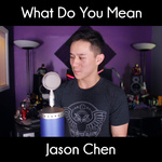 What Do You Mean? (Acoustic Version)专辑