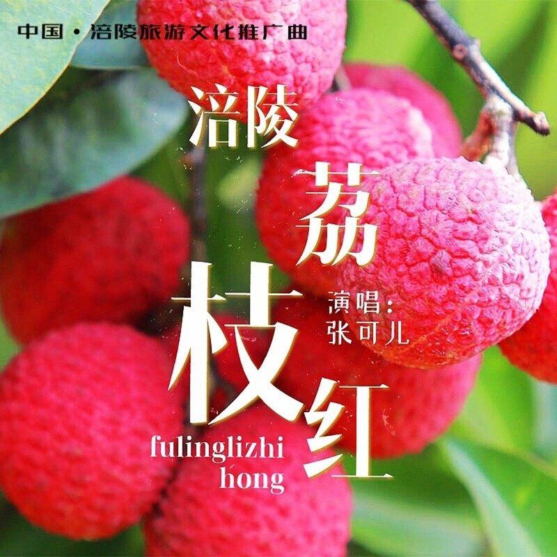 涪陵荔枝红