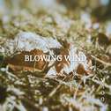 BLOWING WIND专辑