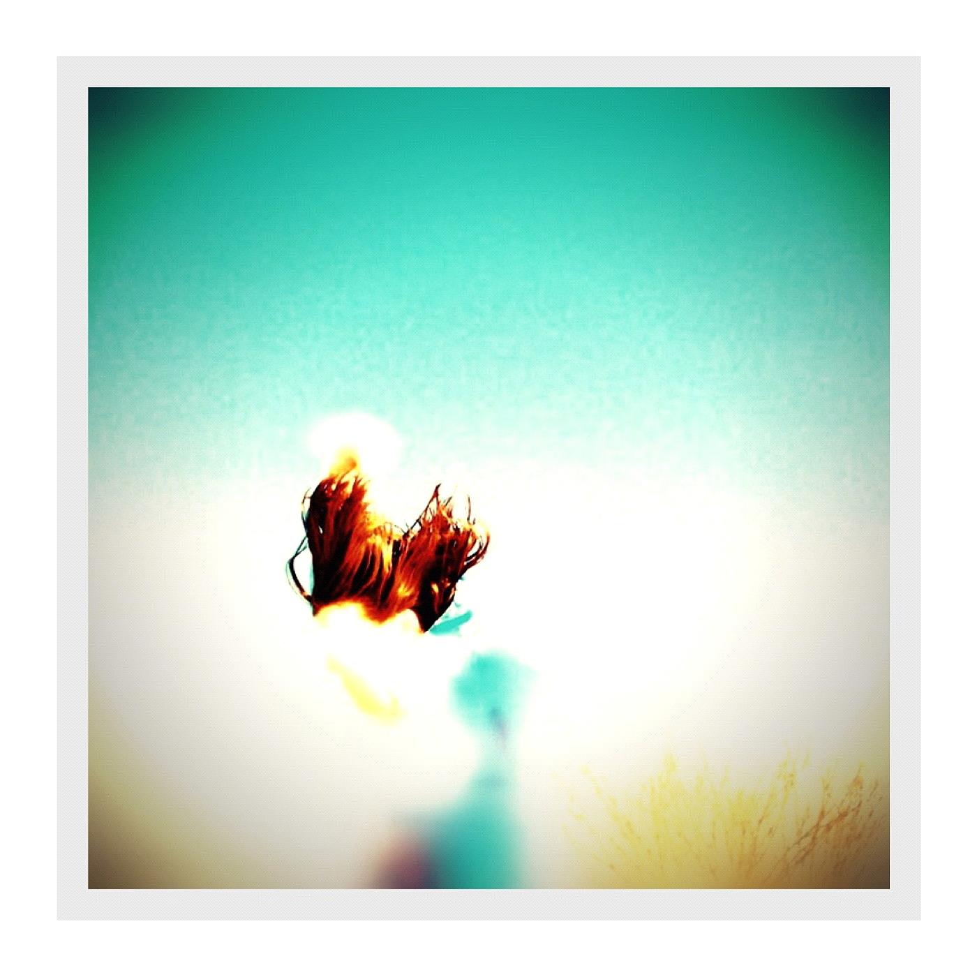 Northern Birds