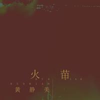 黄静美 - 火苗(DJ.House版伴奏).mp3