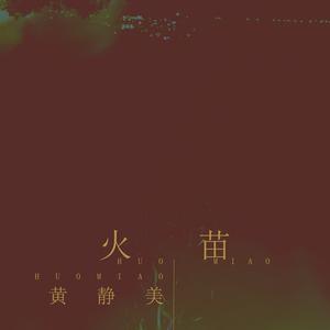 黄静美 - 火苗(DJ.House版伴奏).mp3 （升6半音）