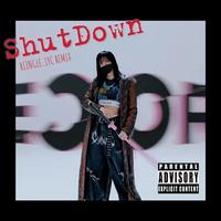 (BLACKPINK)Shut Down - Inst.