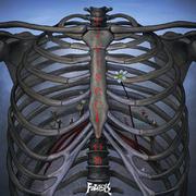 解离 Vivisection