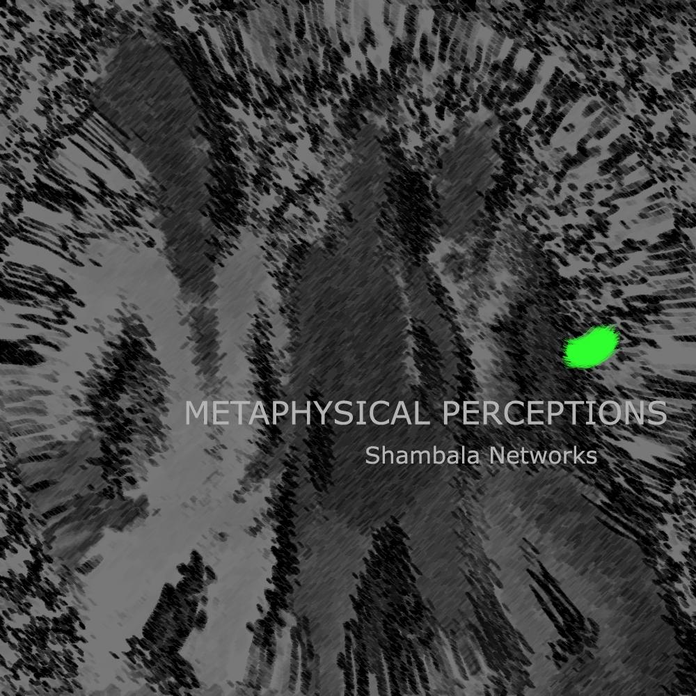 Metaphysical Perceptions