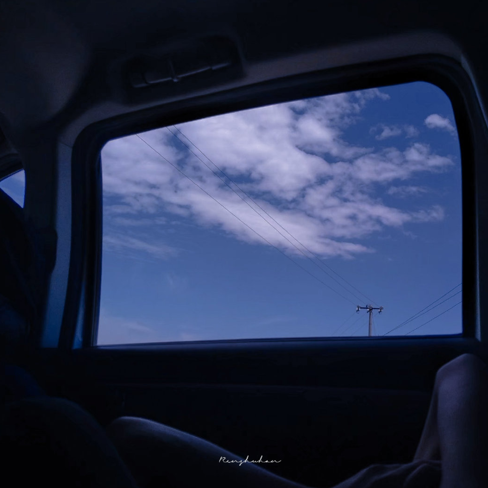 半情歌（抖音版）