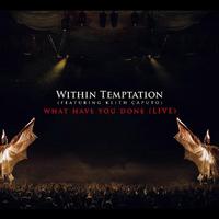 What Have You Done - Within Temptation ( Instrumental )