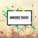 16 Loopable Ambience Tracks for Chakra Balancing专辑