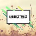 16 Loopable Ambience Tracks for Chakra Balancing专辑