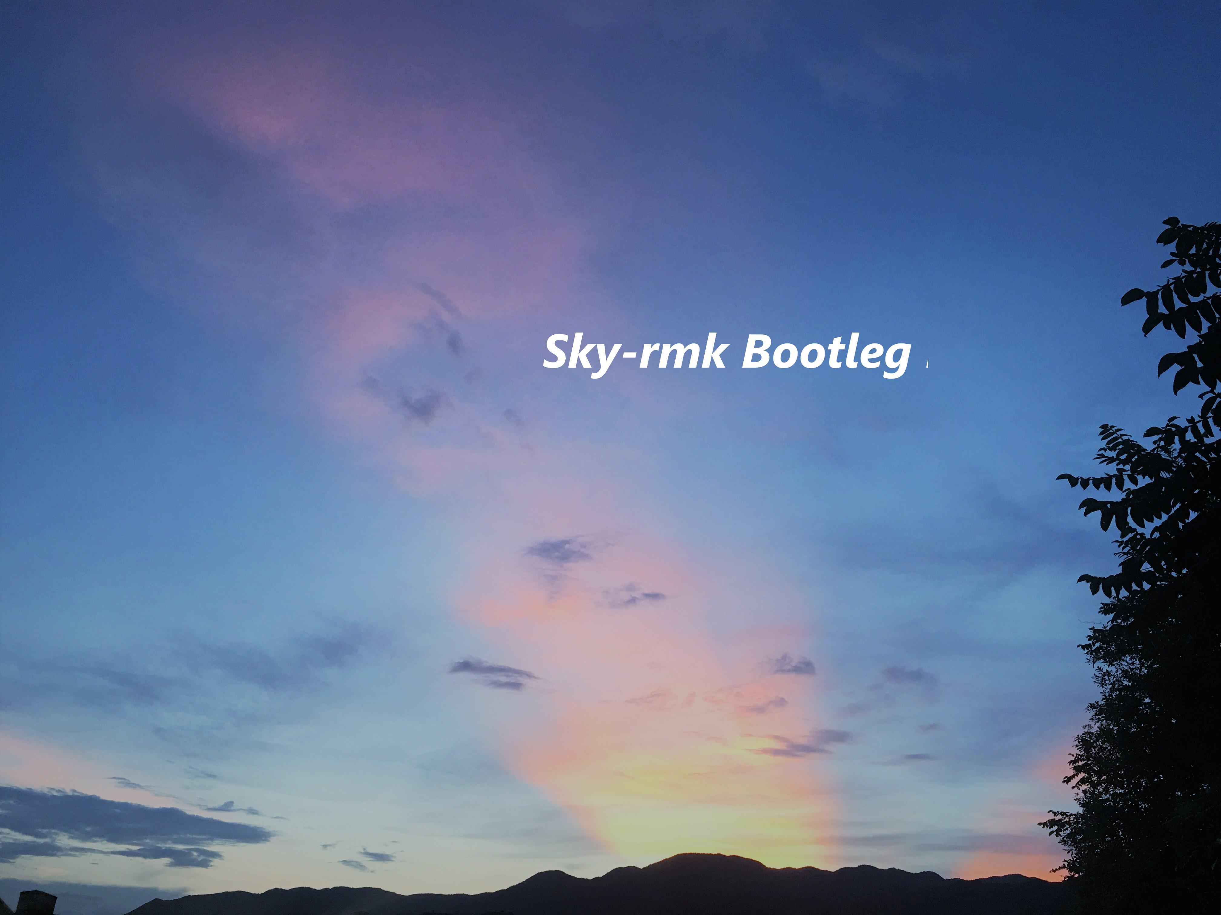 Sky（Bootleg remix）专辑