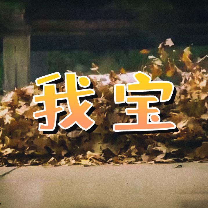 我宝