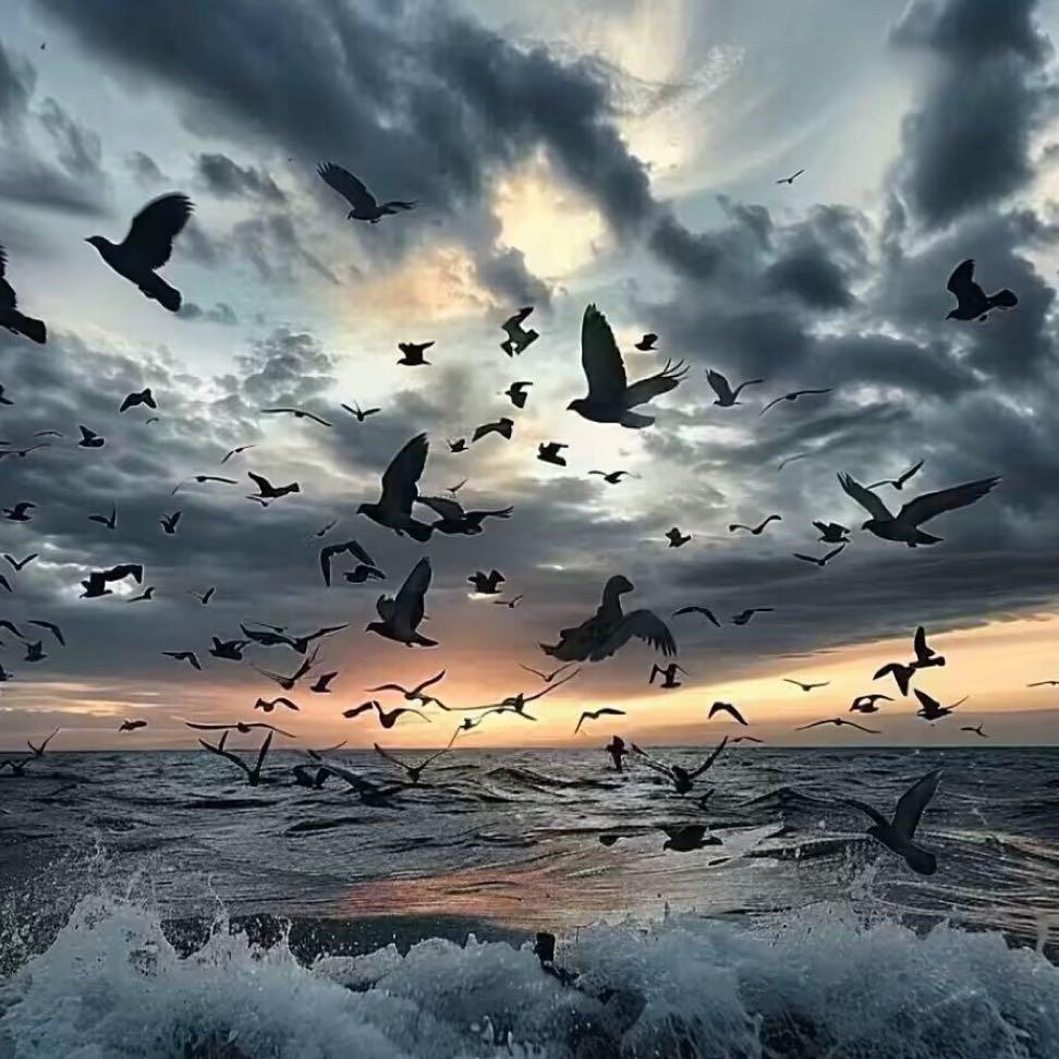 天真的橡皮（DJ版）（DJ阿屿 remix）