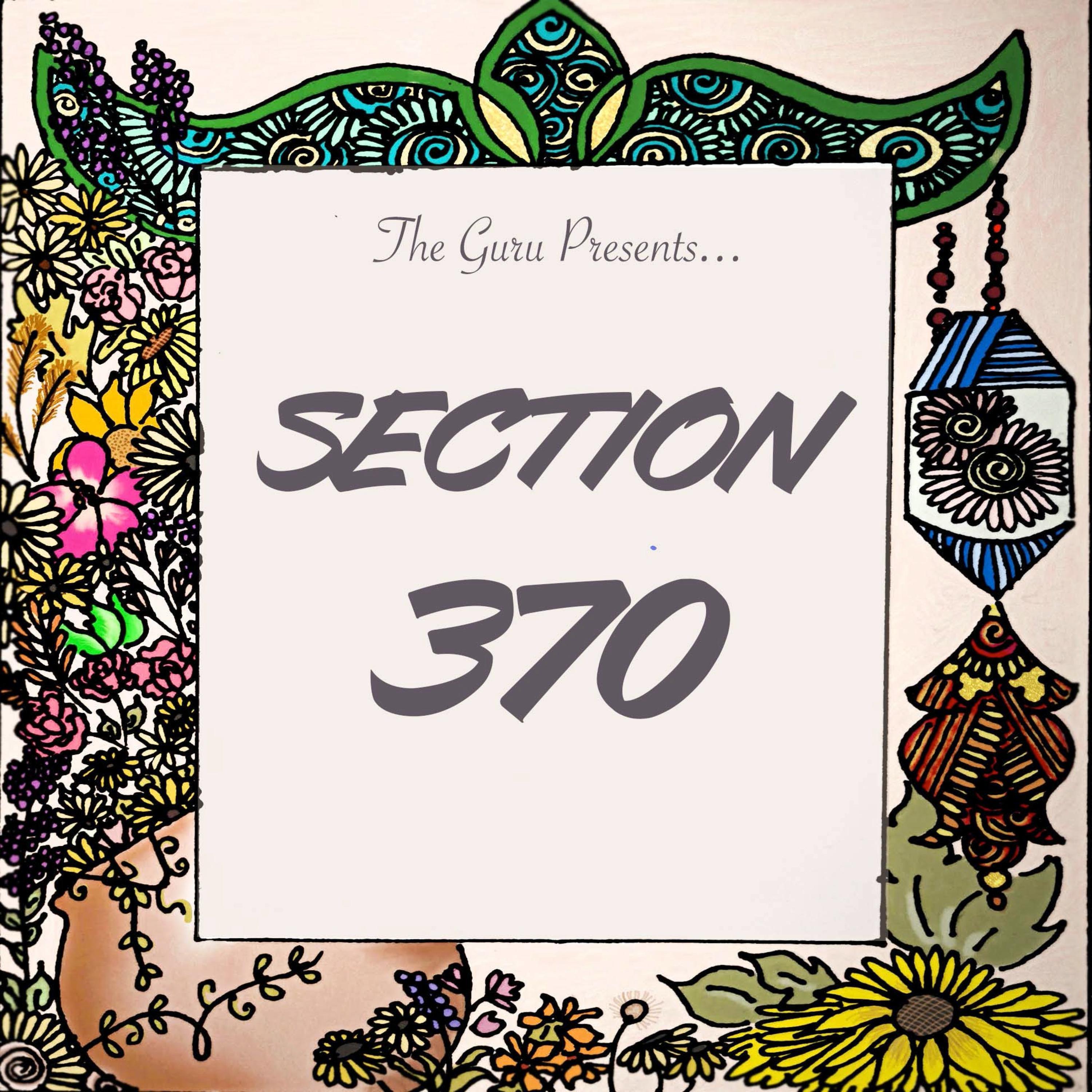 Section 370