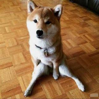 中毒了，只有民谣才能医治