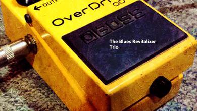 The Blues Revitalizer Trio