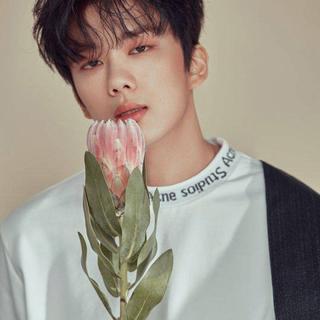 『百首韩语男声』柔肠百转 不再劳瘁于思念