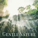 Gentle Nature – Soft Music for Relaxation, Restful Sleep, Calm Down, Pure Therapy, Tranquility专辑