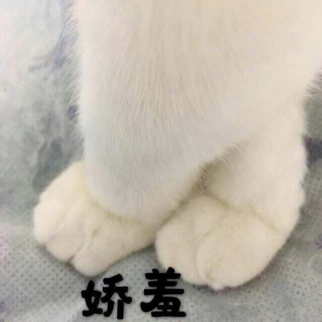 练习辑（做着玩儿）