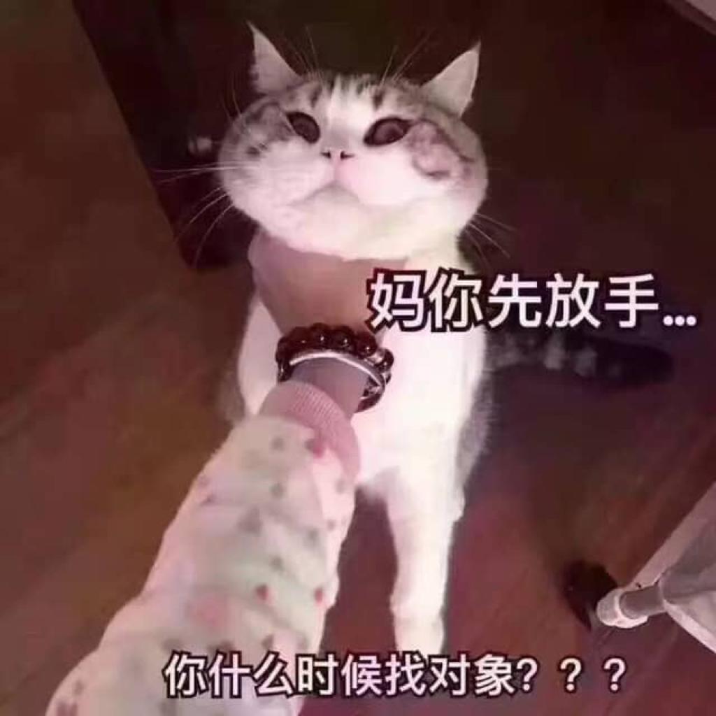【50/60年代】爷爷奶奶们必听的歌