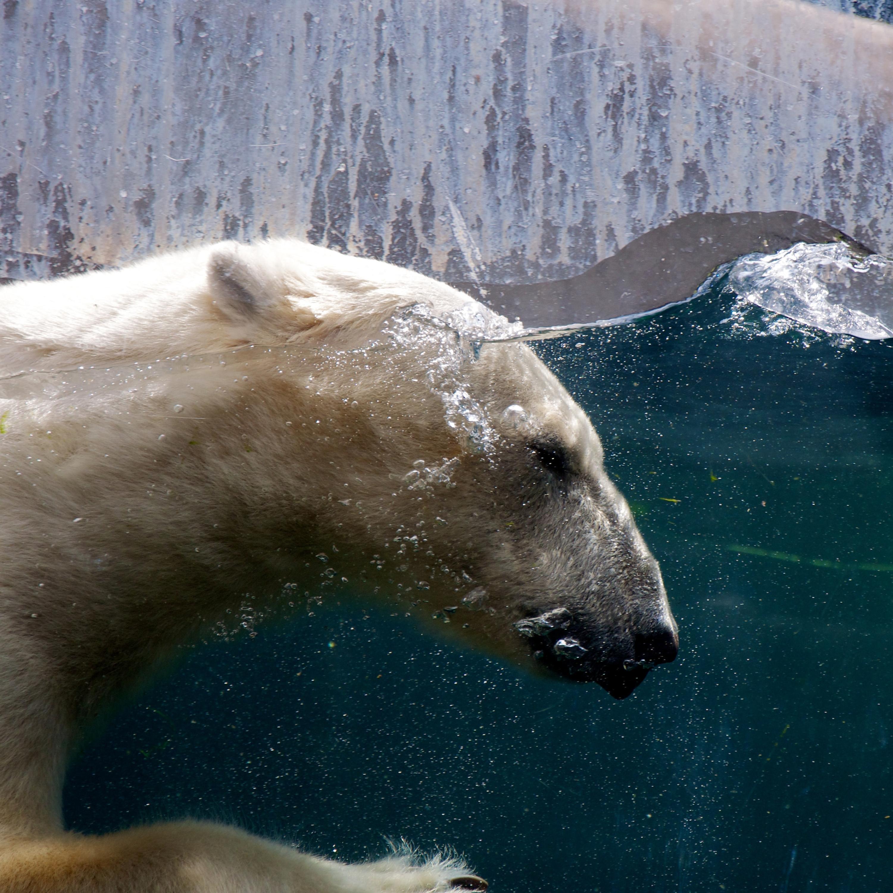 Away Above A Harborful (feat. Enur)