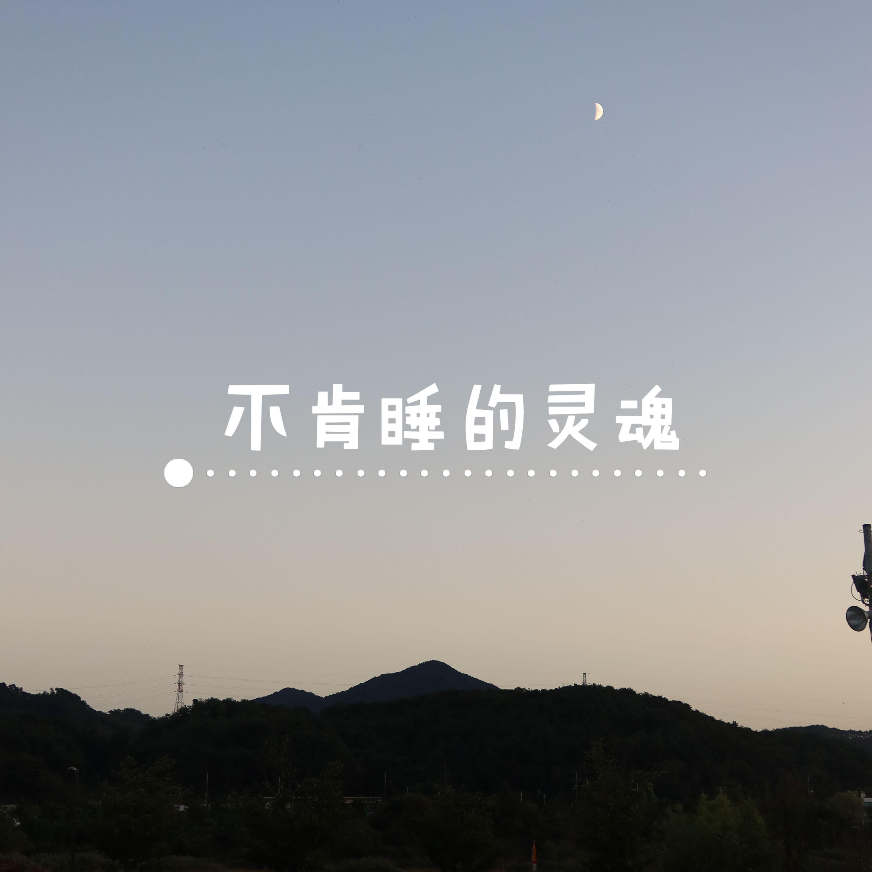 不肯睡的灵魂丶