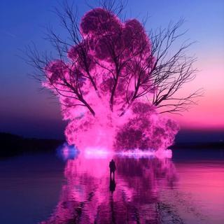 七夕那天 我带着浪漫的粉色烟火走进你心里