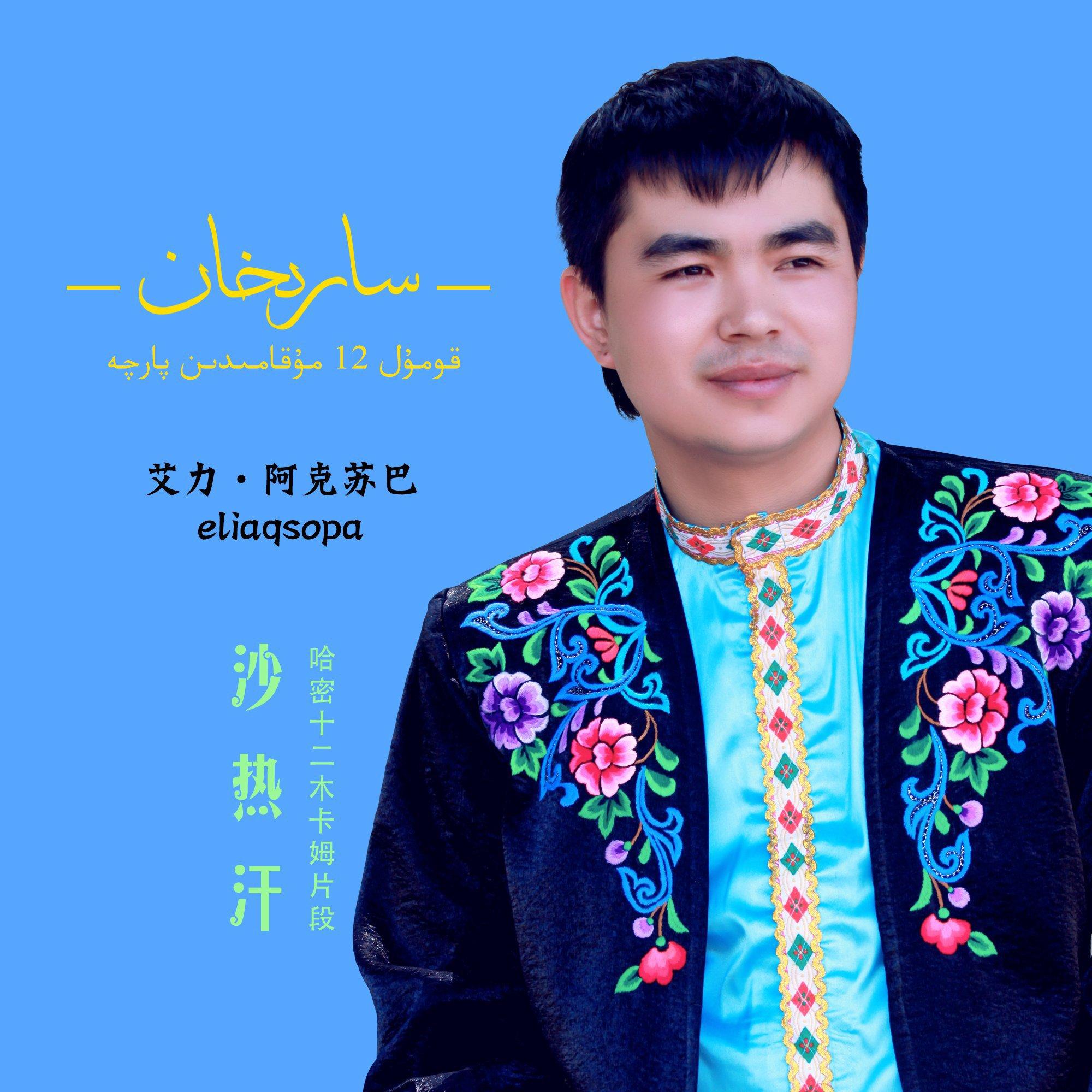 Alijan Aksopa Nahxa Toplimi(持续更新）
