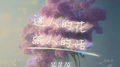 迷人的花骗人的话专辑