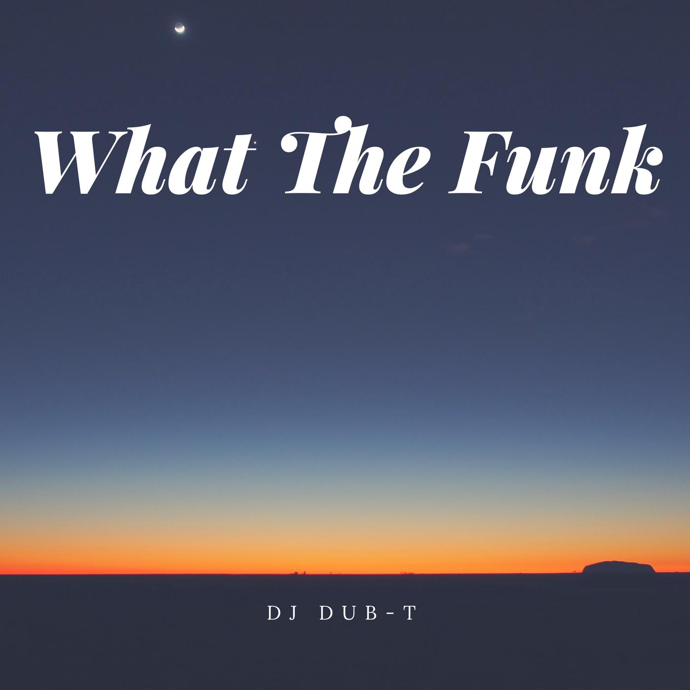 What The Funk (KARZ1D Short Edit)专辑