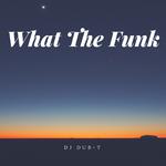 What The Funk (KARZ1D Short Edit)专辑