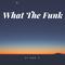 What The Funk (KARZ1D Short Edit)专辑