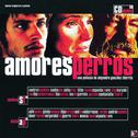 Amores Perros专辑