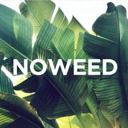 Noweed