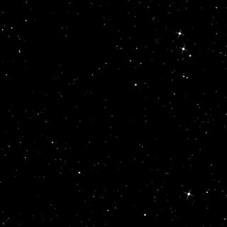 Tropical 欧美 | 热带清新净澈之道