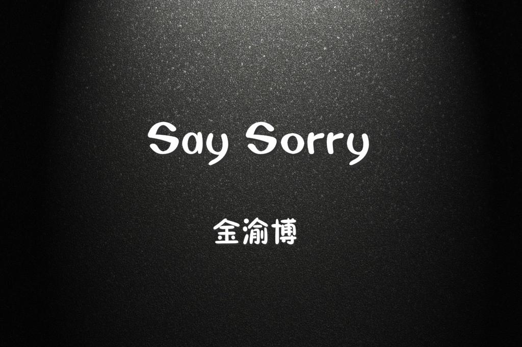 Say sorry专辑