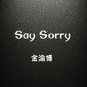 Say sorry专辑