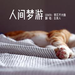 人间梦游（cover：翠花不太脆）