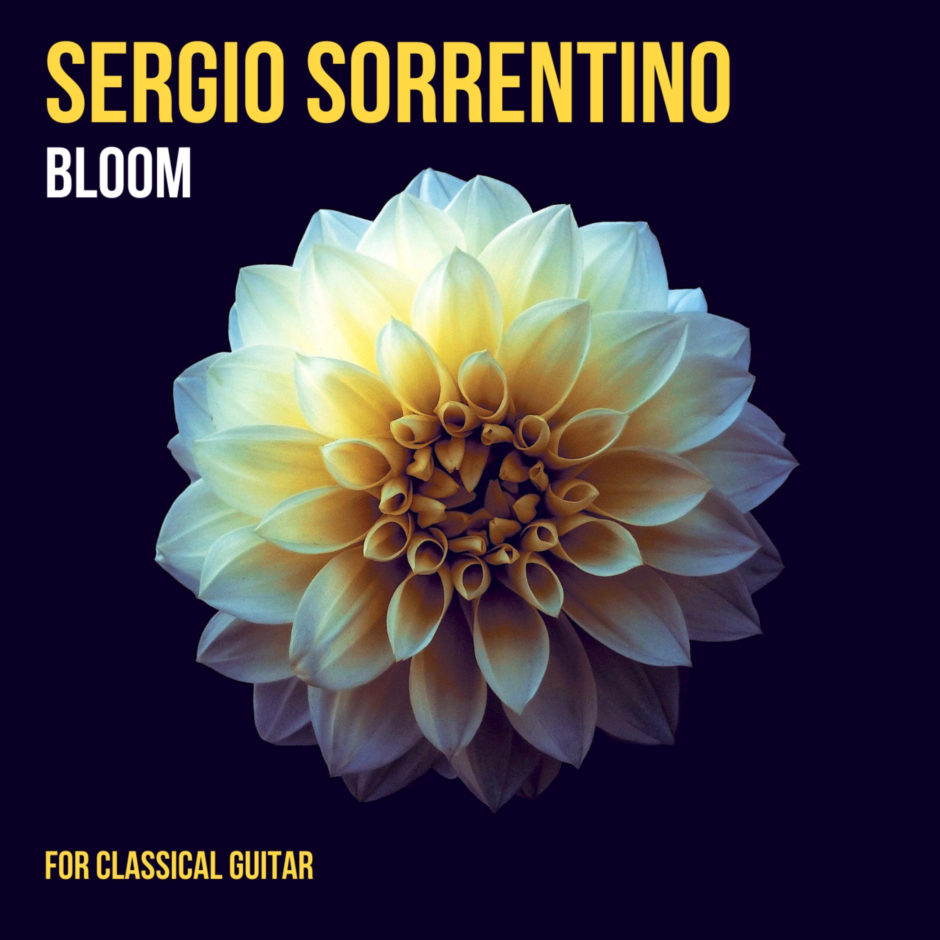 Bloom