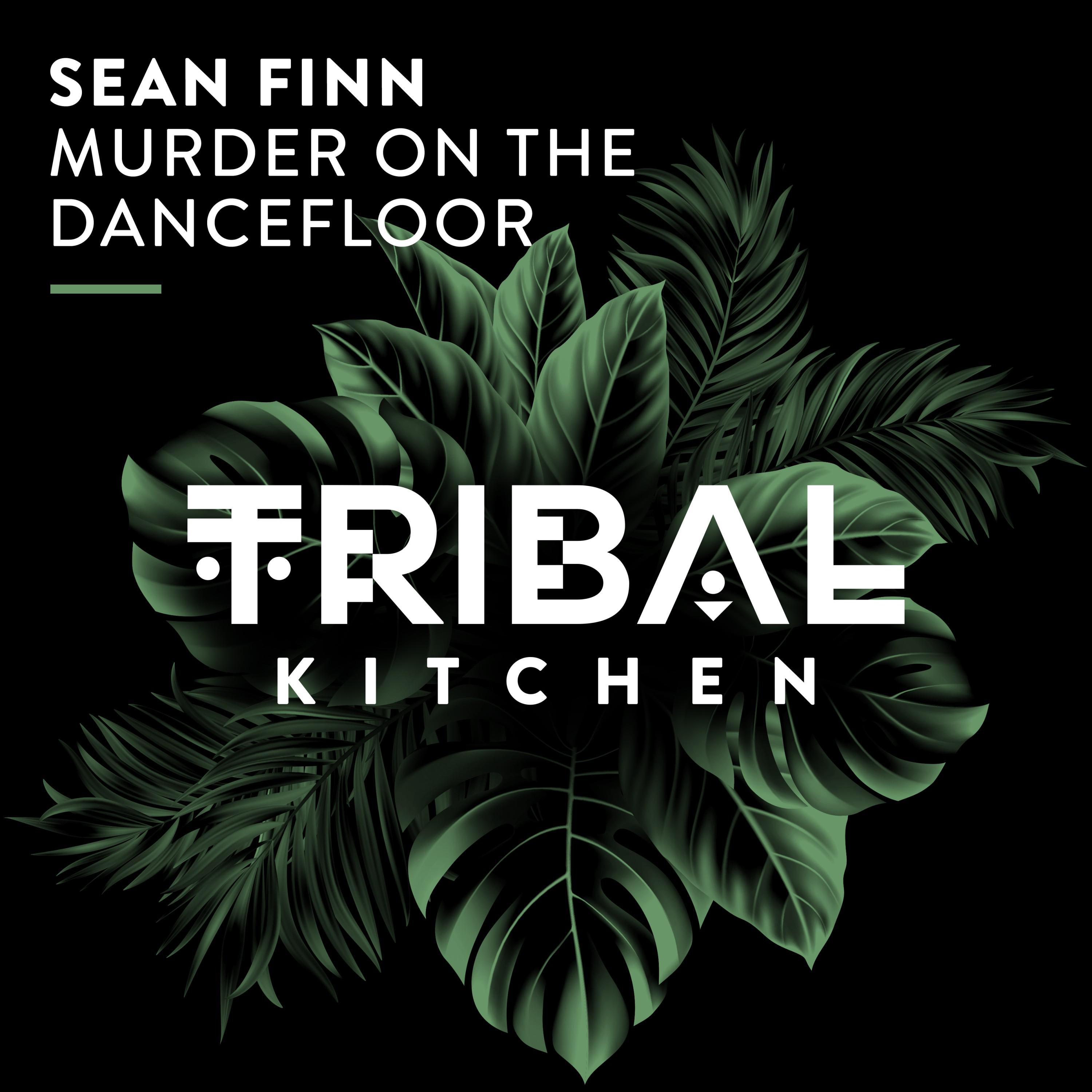 Sean Finn - Murder on the Dancefloor