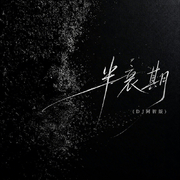 半衰期 (DJ阿智版)专辑